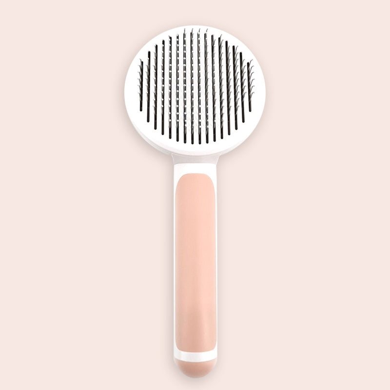 The Self-Cleaning Brush