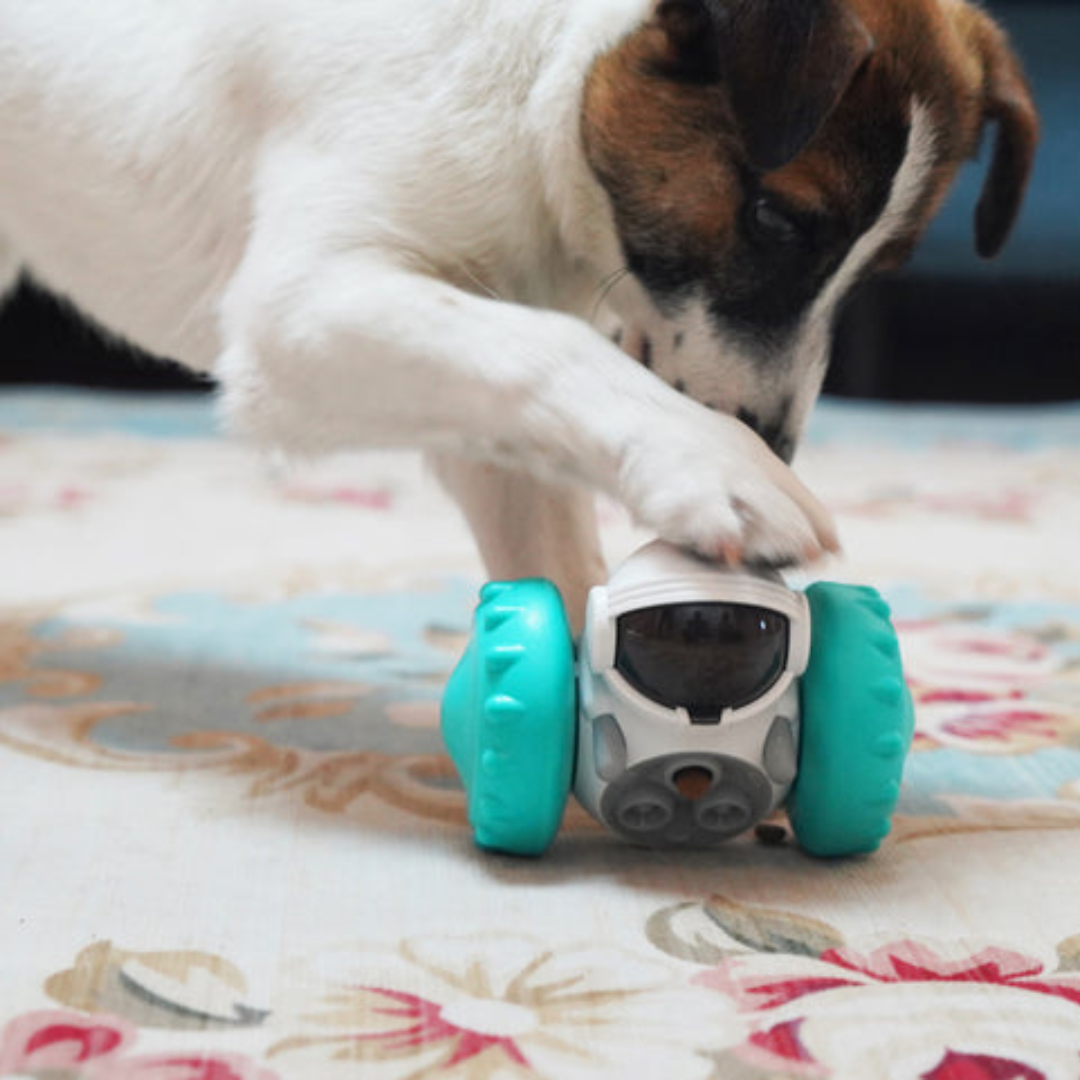 Interactive Robot Treat Toy – Perfect Paw Store