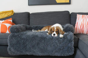 Anti-Anxiety Dog Sofa Bed