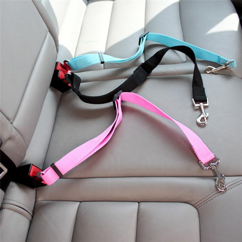 The Complete Guide To Dog Seat Belts - PawSafe