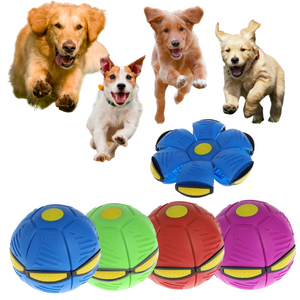 Engaging Snuffle Ball Toy For Dogs - Promotes Mental Stimulation
