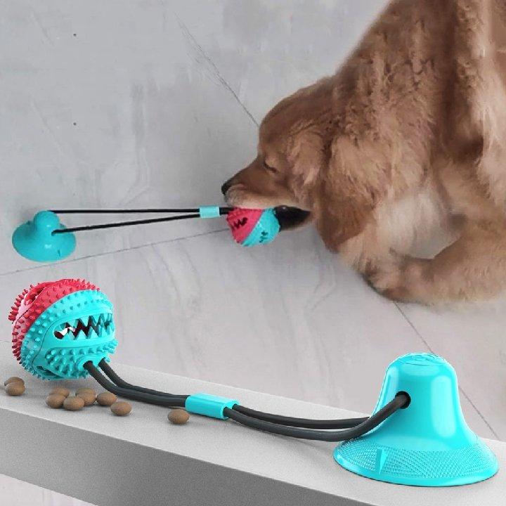 Suction Cup Tug Toy – Perfect Paw Store