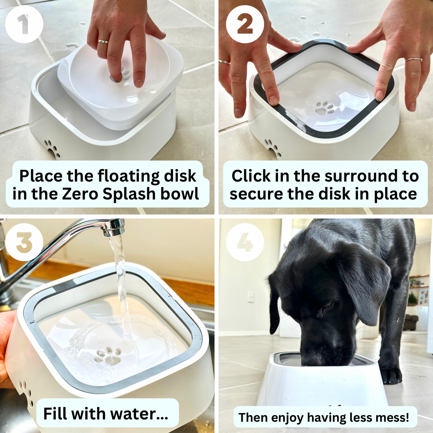 Zero Splash Dog Water Bowl – Perfect Paw Store